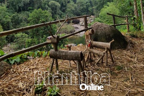 Lời ru cháu đặc biệt
