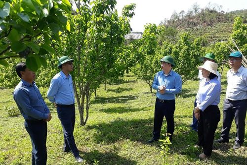 Sà Dề Phìn nỗ lực xây dựng nông thôn mới