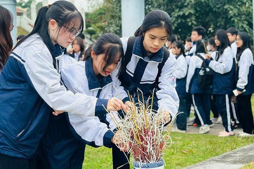 Người trẻ với lịch sử
