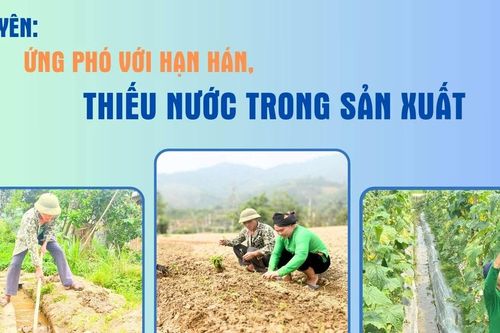 Bảo Yên: Ứng phó với hạn hán, thiếu nước trong sản xuất