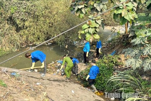 Bảo tồn và phục hồi các dòng sông: Hướng tới tương lai bền vững