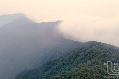 Tam Đảo - thiên đường xanh giữa mây ngàn