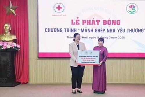 'Mảnh ghép nhà yêu thương'