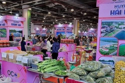 Quảng Ninh: Mở rộng thị trường cho sản phẩm OCOP qua thương mại điện tử