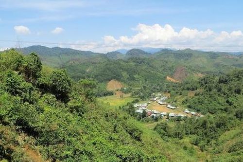 Trao 'cần câu' cho đồng bào thiểu số ở Tây Giang cải thiện sinh kế dưới tán rừng