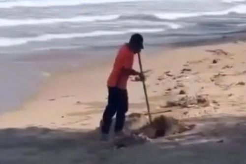 Chôn lấp rác thải trên bãi biển, nhân viên khu du lịch bị xử phạt