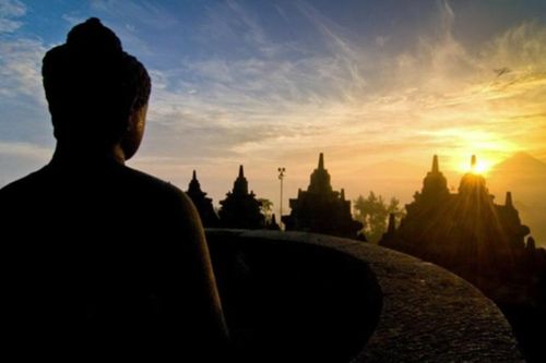 Cúi đầu để vươn thấu tới trời xanh