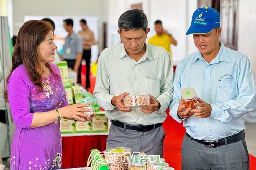 Khởi nghiệp 'xanh' - Xu hướng phát triển bền vữngBài 1: Tiềm năng khởi nghiệp 'xanh'