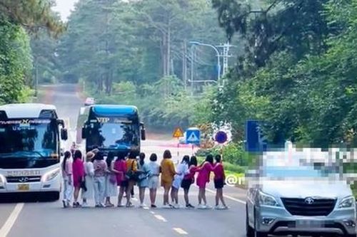 Làm rõ, xử lý vụ nhóm du khách nữ dàn hàng ngang chụp hình trên quốc lộ