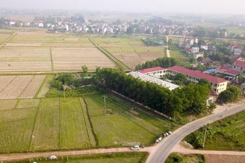 Mua phải đất có nguồn gốc đất công có bị thu hồi không?