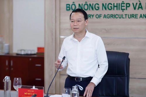 Bộ trưởng Đỗ Đức Duy: Doanh nghiệp nông sản sẵn sàng kịch bản Mỹ không giảm thuế