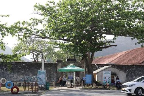 Khu biệt giam chuồng cọp Côn Đảo - Địa ngục trong địa ngục