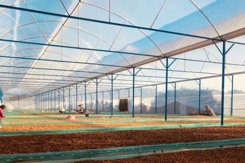 Nông sản Việt Nam ứng phó với mức áp thuế mới của Mỹ ra sao?