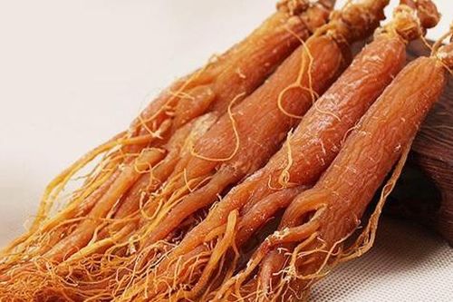 7 bài thuốc từ nhân sâm trị huyết áp thấp