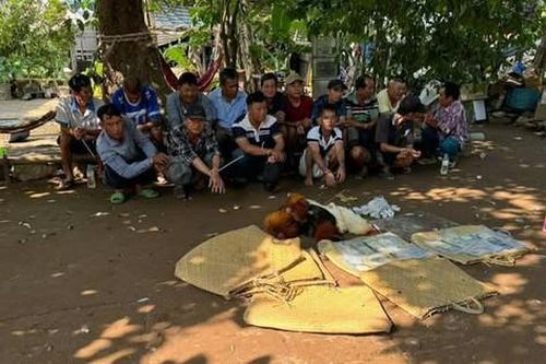 Bắt quả tang 15 đối tượng đang đá gà ăn tiền