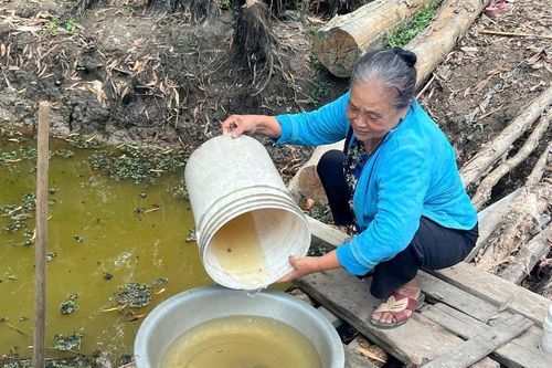 Người dân vùng đệm U Minh Hạ chật vật trong khô hạn