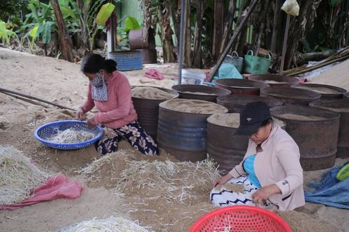 Nghề làm giá đỗ ven sông Trà Khúc