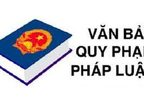 Mẫu tài liệu trong hồ sơ chính sách, hồ sơ dự án, dự thảo văn bản quy phạm pháp luật