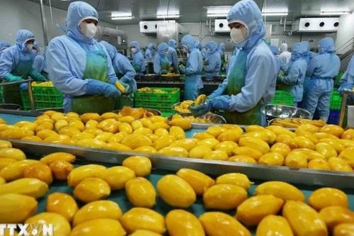 Nhật Bản nhận định Việt Nam là thị trường đầy hứa hẹn