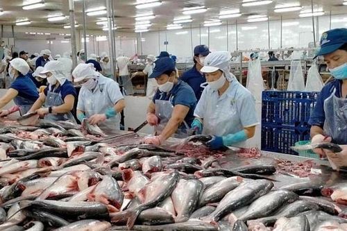 Cục Thủy sản và kiểm ngư khuyến cáo: Giữ vững sản xuất và nuôi trồng thủy sản