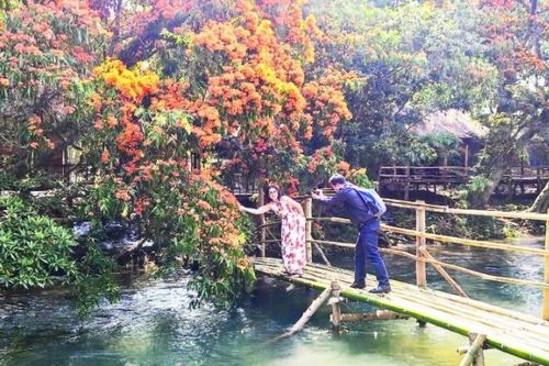 Khai thác du lịch cộng đồng tại rừng trang cổ thụ suối Tà Má