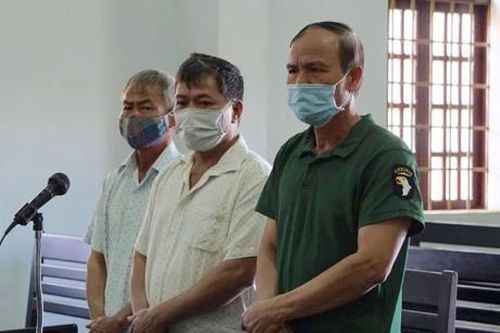 Vì sao Viện kiểm sát trả hồ sơ để điều tra bổ sung vụ án hủy hoại rừng tại huyện Đắk Glong