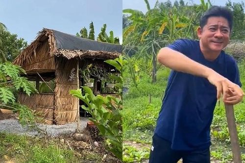 Nhà vườn 6.000m2 trồng rau, nuôi gà của tài tử Huỳnh Anh Tuấn
