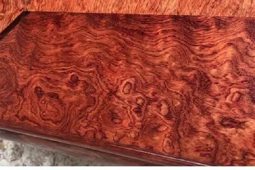 Tận thấy loại gỗ quý như 'vàng ròng', nửa tỷ đồng/m3