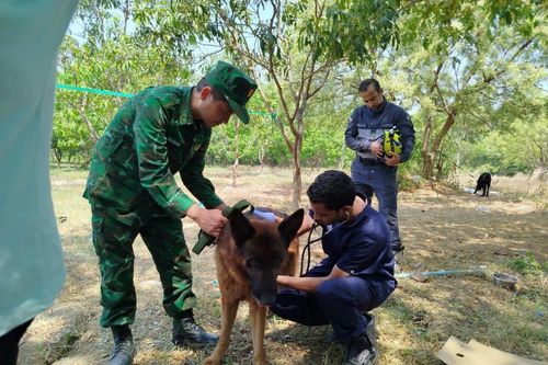Khẳng định bản lĩnh, năng lực cứu hộ, cứu nạn của những người lính 'Bộ đội Cụ Hồ'