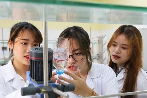 Một trường đại học được yêu cầu có ít nhất 1.000 bài báo quốc tế mỗi năm