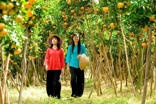 Sống ở tỉnh nào tại Việt Nam có chi phí rẻ nhất?