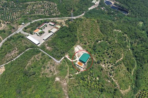 Nha Trang đang xử lý cho thuê đất rừng lập xưởng sản xuất 1,4 tấn ketamin