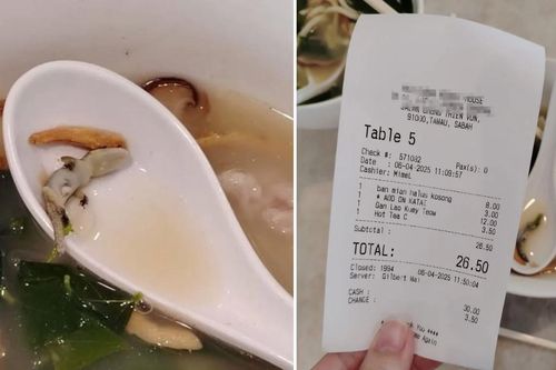 Thực khách phát hiện thằn lằn trong bát xúp, nhà hàng phản ứng khó hiểu