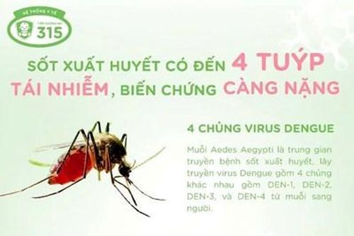 Cẩn thận phòng ngừa sốt xuất huyết Dengue