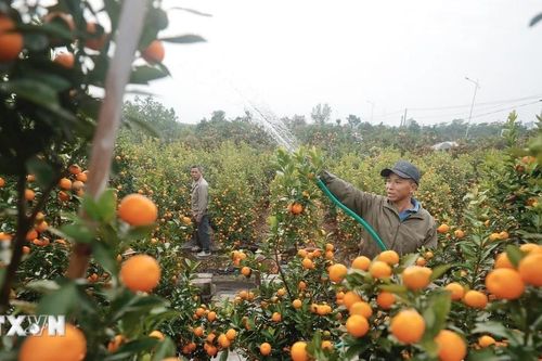 Hưng Yên: Đánh thức làng nghề, mở cánh cửa kinh tế du lịch