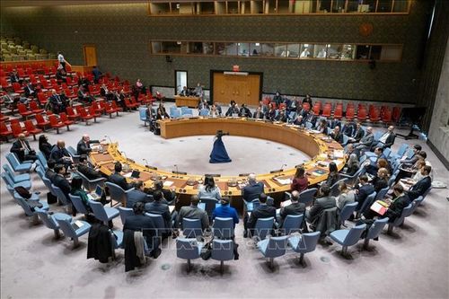 Hội đồng Bảo an Liên hợp quốc nhóm họp về Ukraine