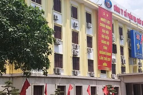 Lợi nhuận sụt giảm mạnh, MGC tăng trần 5 phiên giữa lúc hàng loạt cổ phiếu nằm sàn