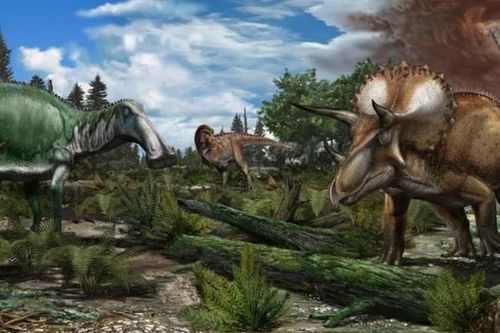 Khủng long không tuyệt chủng vì suy yếu: Nghiên cứu mới 'minh oan' cho loài thống trị Trái Đất