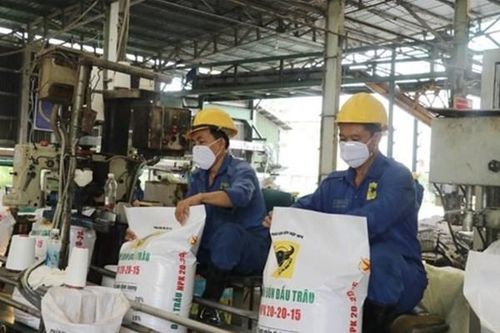 Lợi nhuận quý I của Phân bón Bình Điền bằng 44,5% kế hoạch cả năm