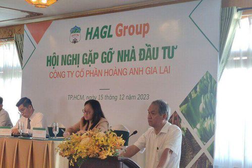 Bầu Đức lên tiếng trấn an cổ đông HAGL sau việc Mỹ áp thuế đối ứng lên Việt Nam