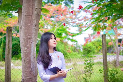 Vào hạ!