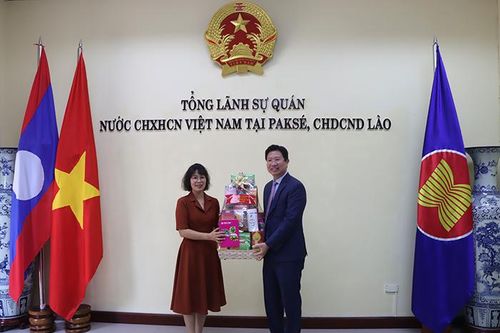 Đồng Tháp chúc Tết Tổng Lãnh sự quán Việt Nam, Hội người Việt Nam tại Lào