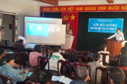 Gia Lai: Bồi dưỡng nghiệp vụ cho 60 cán bộ hợp tác xã