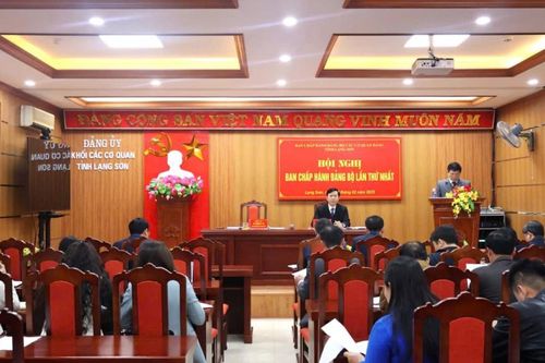 Tập trung kiện toàn tổ chức đảng đồng bộ với việc sắp xếp tổ chức bộ máy