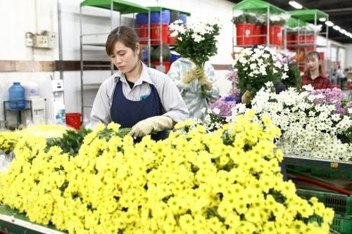 Lâm Đồng nỗ lực vượt khó thu hút đầu tư (Bài 2)