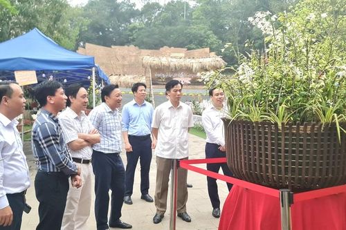 Phó Chủ tịch UBND tỉnh Nguyễn Huy Ngọc tham quan không gian trưng bày hoa lan nghệ thuật toàn quốc lần thứ II
