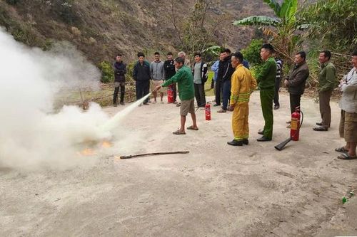 Phòng ngừa, đấu tranh với các loại tội phạm