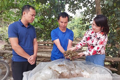 Hướng tới nền nông nghiệp xanh