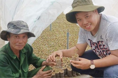 Người giàu lên từ rừng