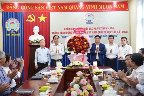Lãnh đạo thành phố thăm Liên minh Hợp tác xã TP. Huế